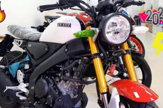 Yamaha XSR 155