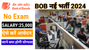 Bank Of Baroda Bharti 2024 बिना परीक्षा के इन पदों पर मिलेगी नौकरी, जानें वेतन और आवेदन प्रक्रिया